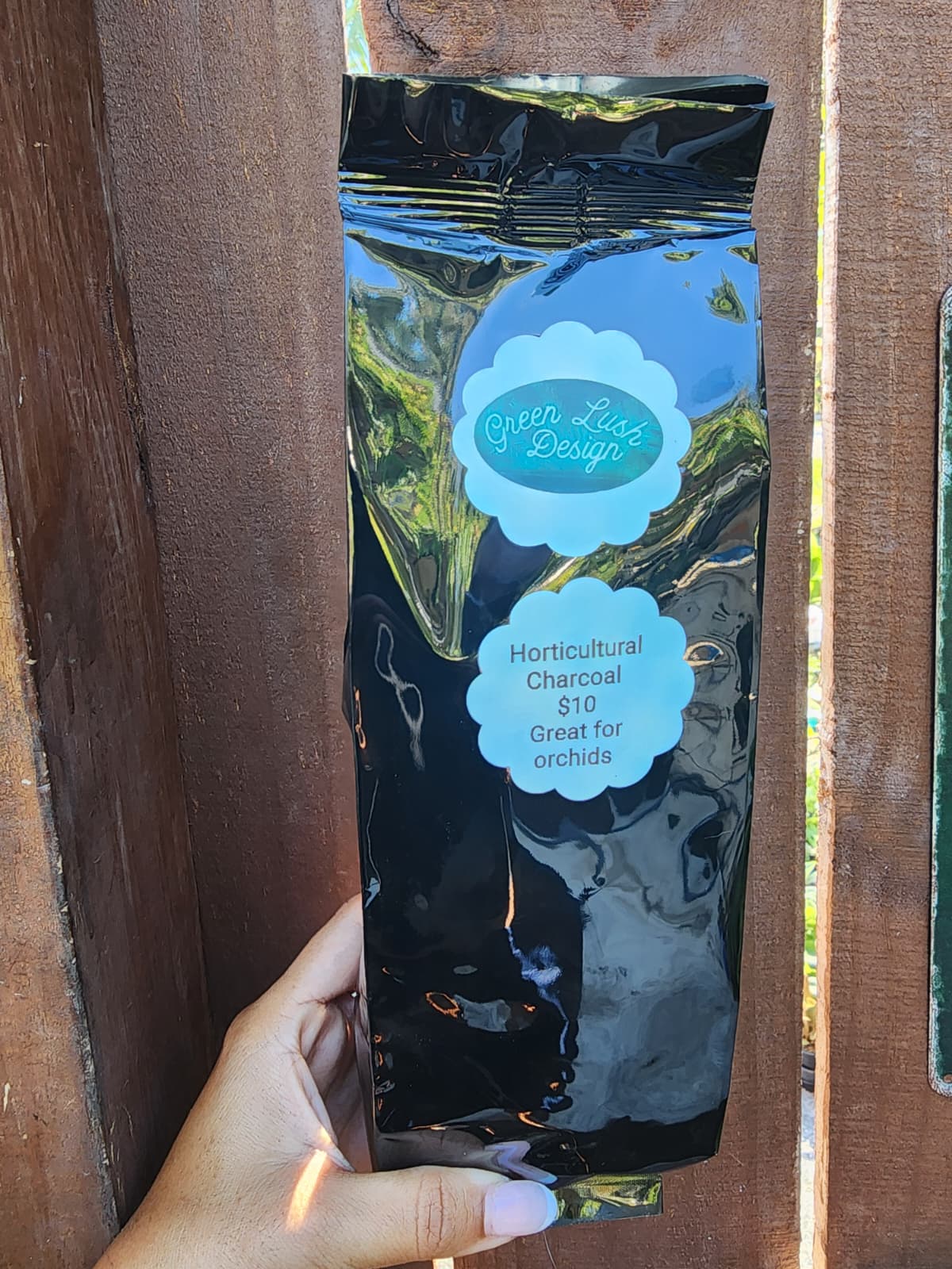 4" String of Pearls (Senecio rowleyanus)