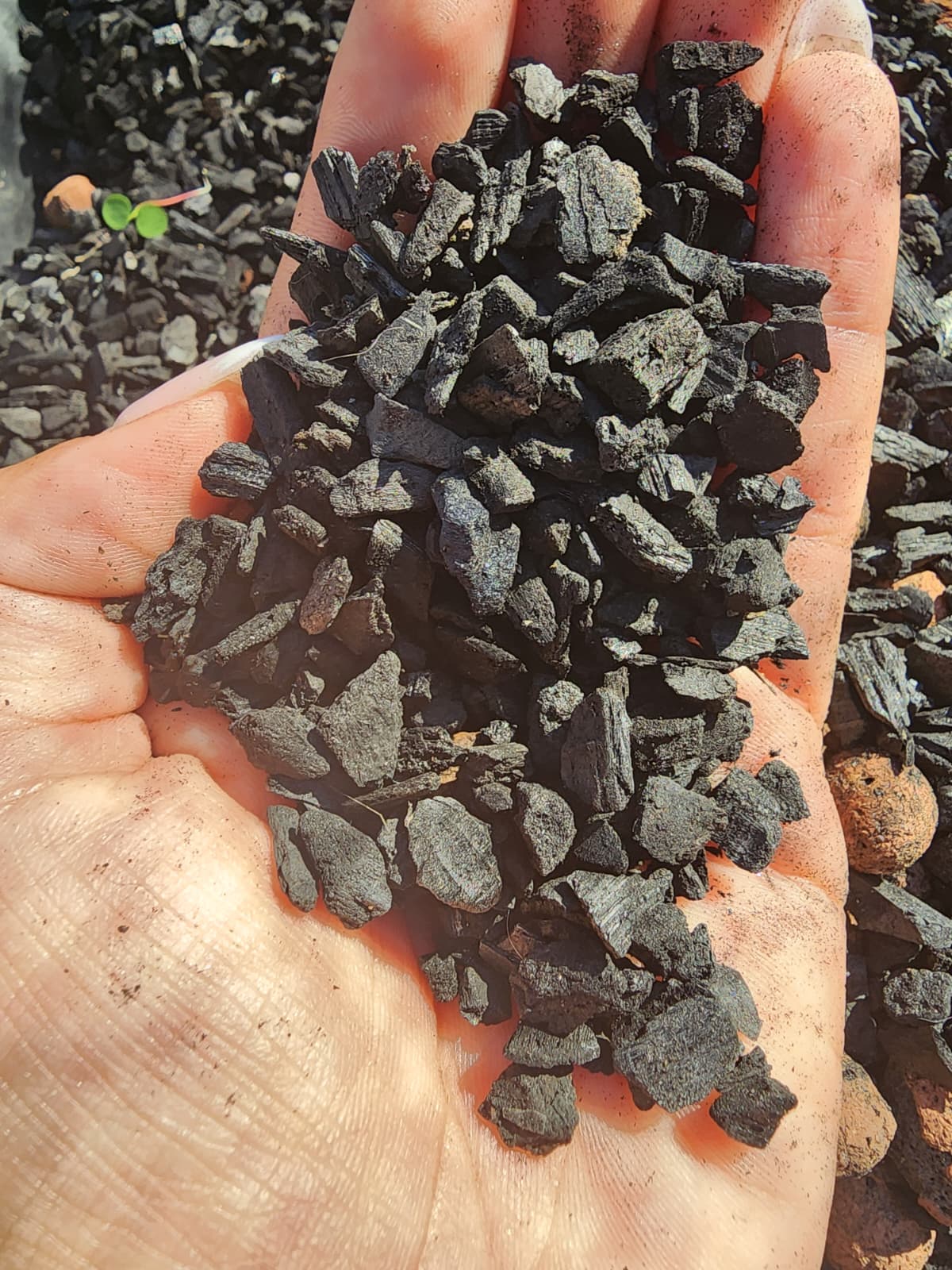 Orchid Potting Mix