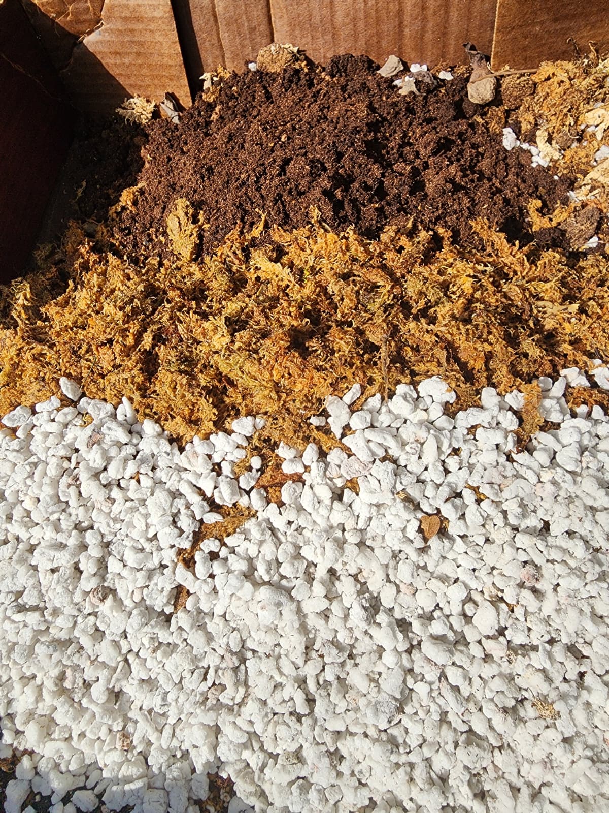 Organic Fertilizer